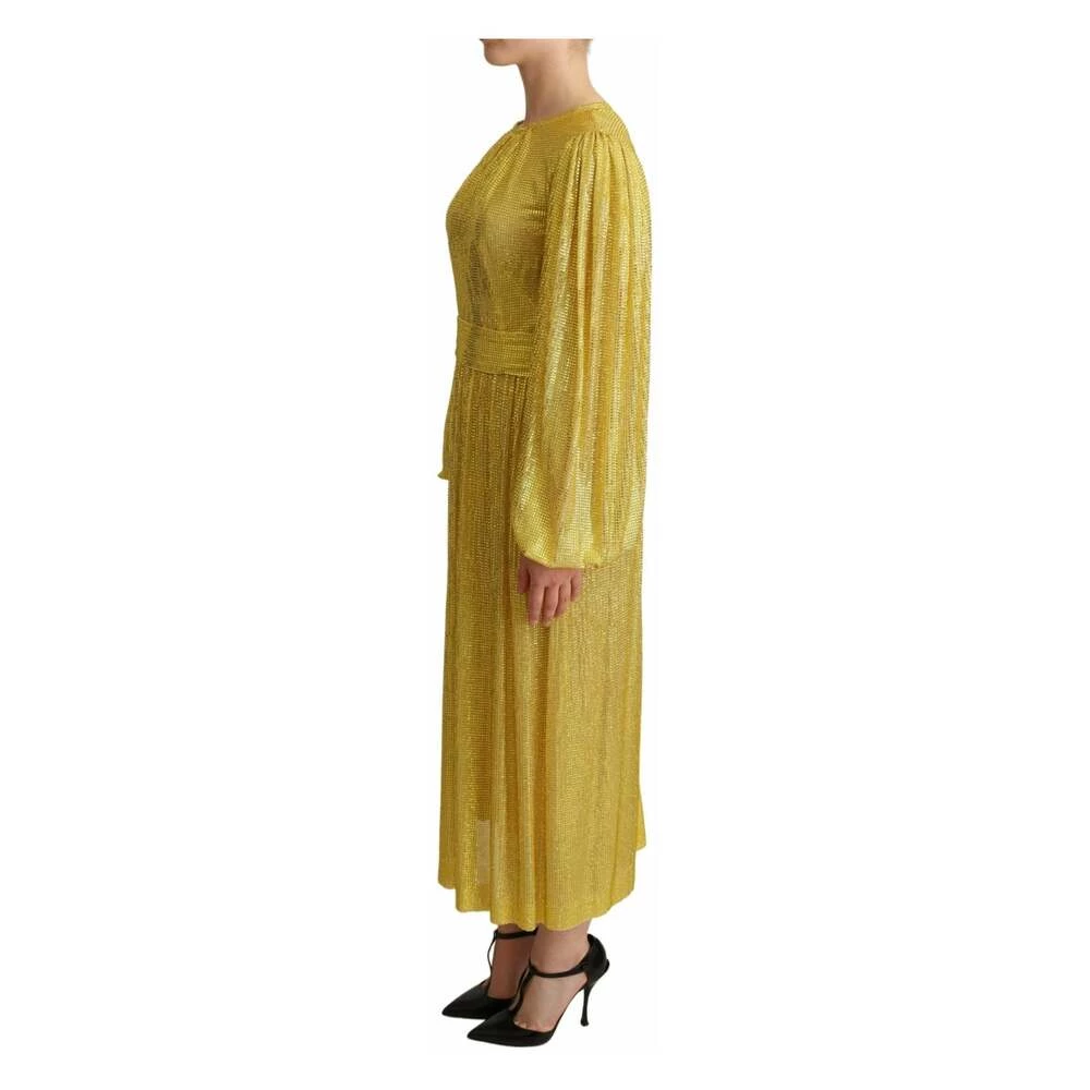 Dolce & Gabbana Crystal Mesh Pleated Maxi Dress Yellow 3 Dolce & Gabbana Crystal Mesh Pleated Maxi Dress Yellow - Bilde 3